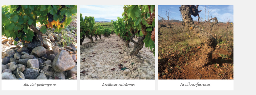 tipos de tierra en la rioja