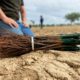 Biodiversidad en la tierra del Rioja